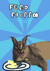Feed Floppa