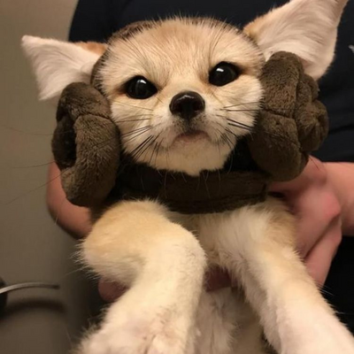 @barkbark