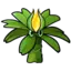 Fusion_leader avatar
