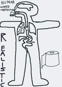 Realistic human body