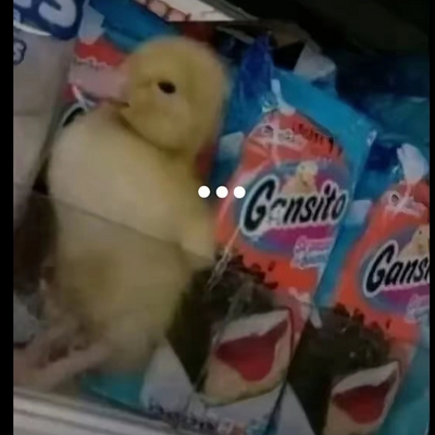 @pollitoconpapa1