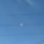 asym_games avatar