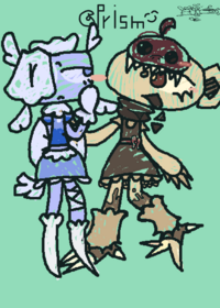 Dw ships