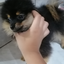 puppylayote avatar