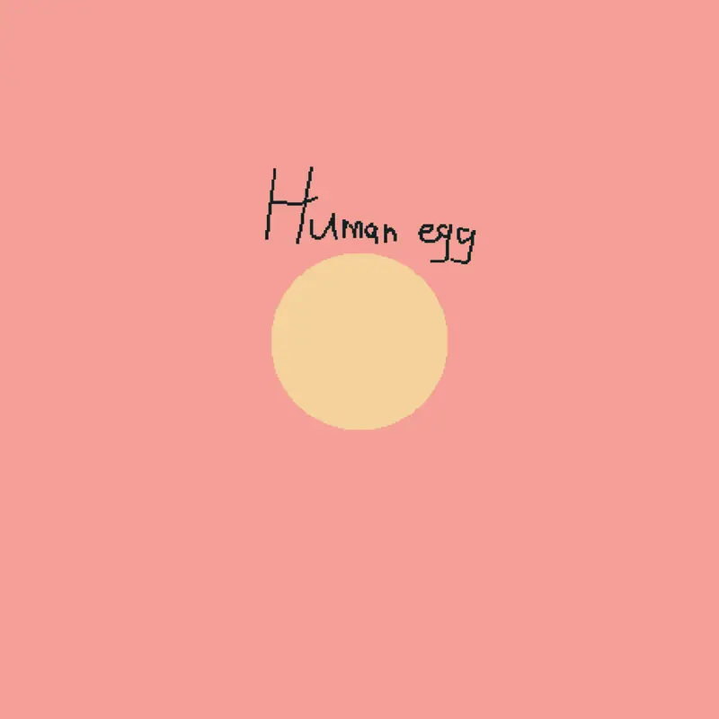 Game by @pennyboh