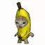 _Banana_Cat avatar