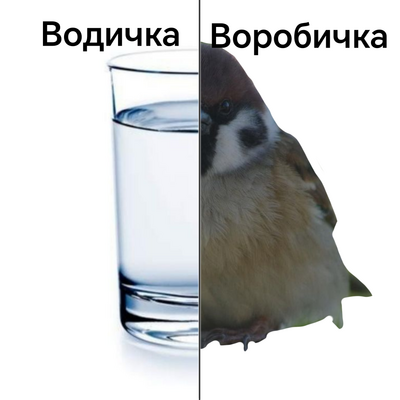 @vodichka_vorobichka