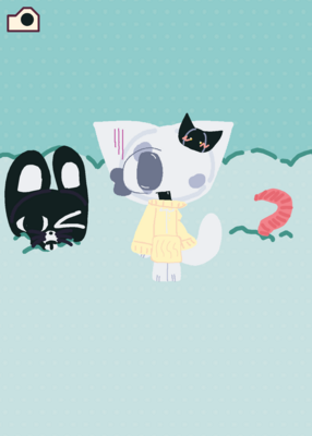 snapshot