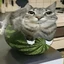 watermeloncatt avatar