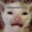 cheese_lover_the_third avatar