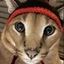 FloppaVsBingus avatar