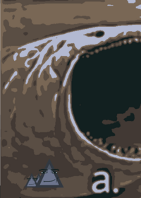 Brainrot stranger dash 1#