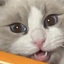 x_elite2 avatar