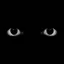 _yUk1-_- avatar