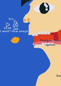 The true digestive system (a swear word is...