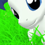 polakpq avatar
