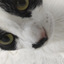 Ruzgarking_17 avatar
