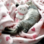 XxLIYAH_DA_SILLYxX avatar
