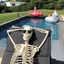skeletonguy avatar