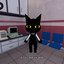 caty_mega_hiper_pro avatar