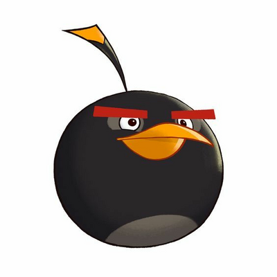 @birdfan
