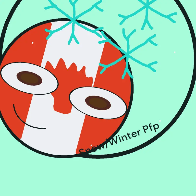 Game by @canada_snow_winter