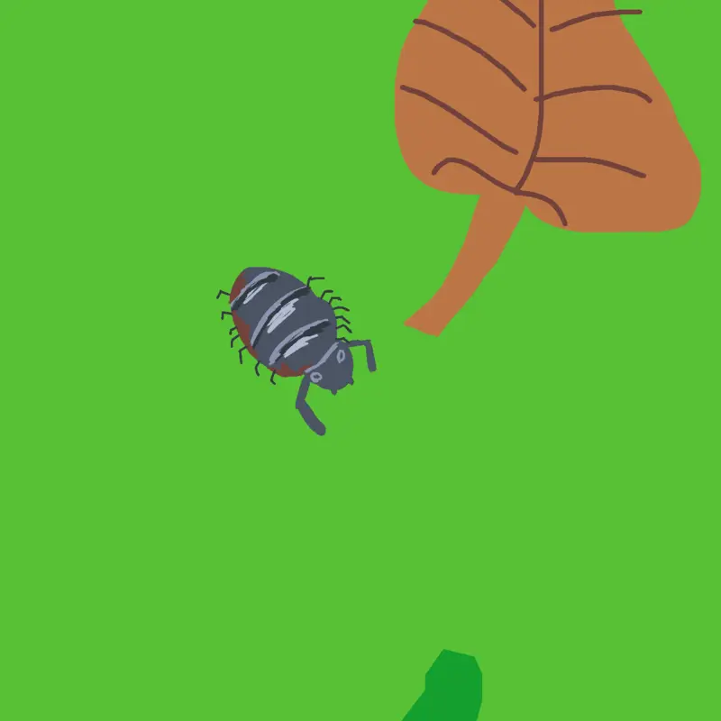 Game by @cat_rainbow
