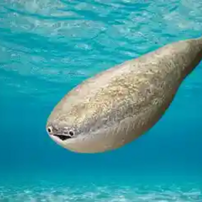 @Sp4mInhaler68