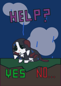 Take care of cat!