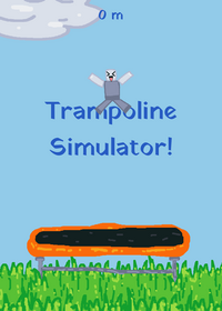 TRAMPOLINE SIM.