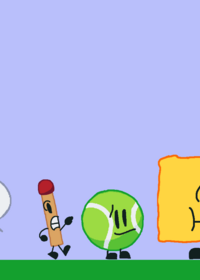 Bfdi ragdolls
