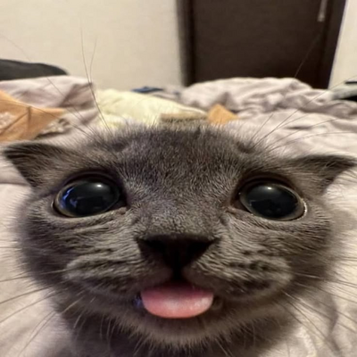 @KapsKat