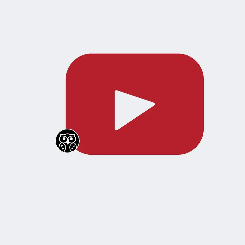 Youtube by @zyzyburger