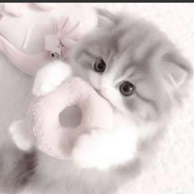 @k1t-KATT
