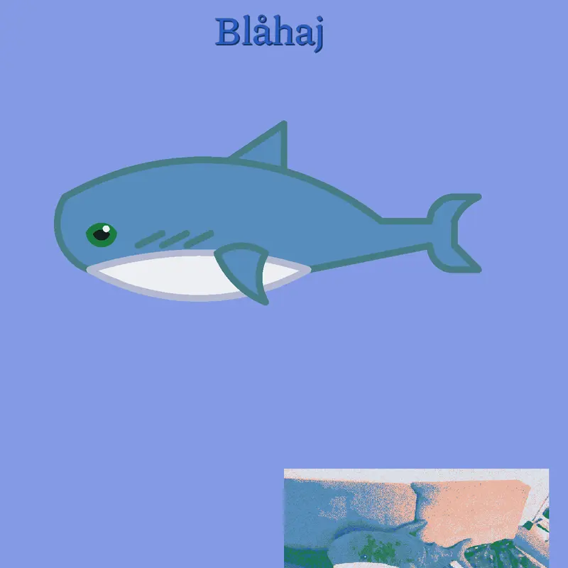 Finally got blåhaj by @kruczek