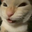 SprunkiGoofyGames avatar