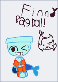 Finn ragdoll!