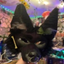 pop_fox avatar