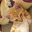 _DOCHI_DA_MEOW_ avatar