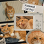 OrangeCuteCat avatar