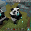 pandaguy avatar