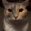 larrydarry avatar