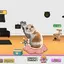 petthecat_STUDIOS avatar