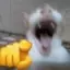 Nonplayercharacther avatar