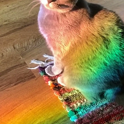 @Color_Cats