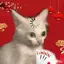 Miukoji_Binhduong avatar