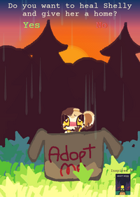 Take care of Shelly