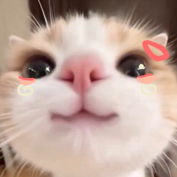 @_Tokie_