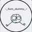 -_sum_dummy_- avatar