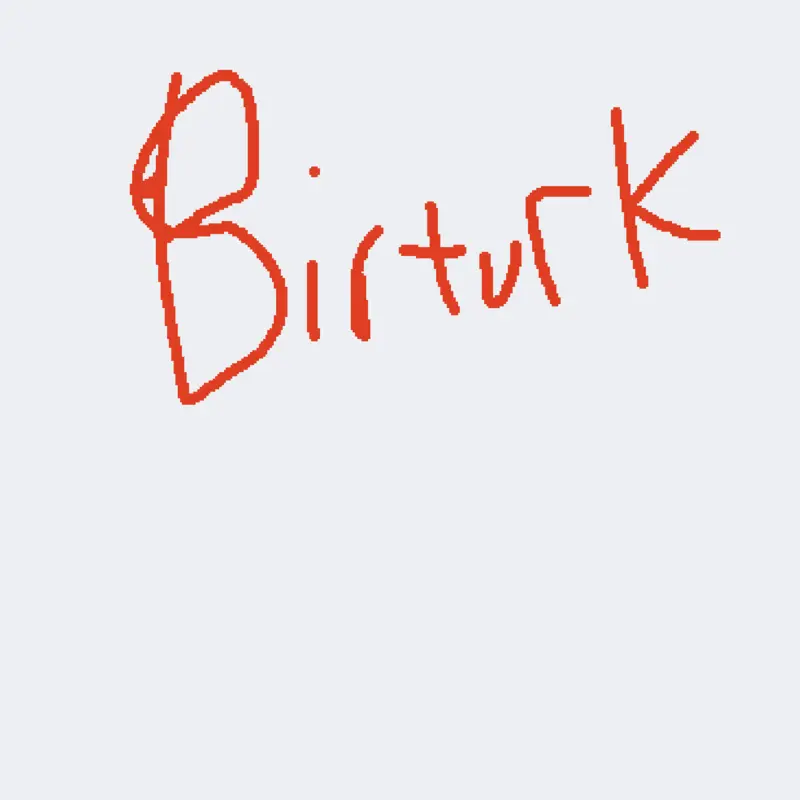 Bruh by @birturk
